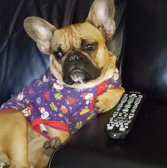 Meet your Posher, Annette - Picture 13 of 15